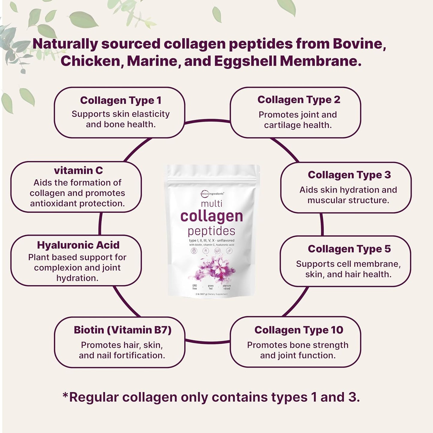 Micro Ingredients Multi Collagen Protein Powder, 2 Pounds – Type I,II,III,V,X with Biotin, Hyaluronic Acid, Vitamin C